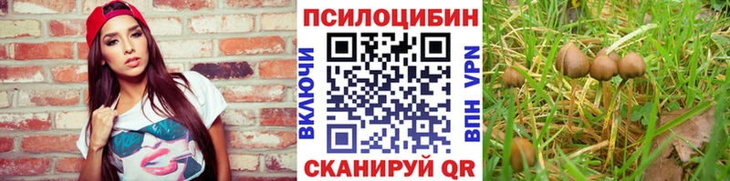 Псилоцибиновые грибы Magic Shrooms  Мирный 
